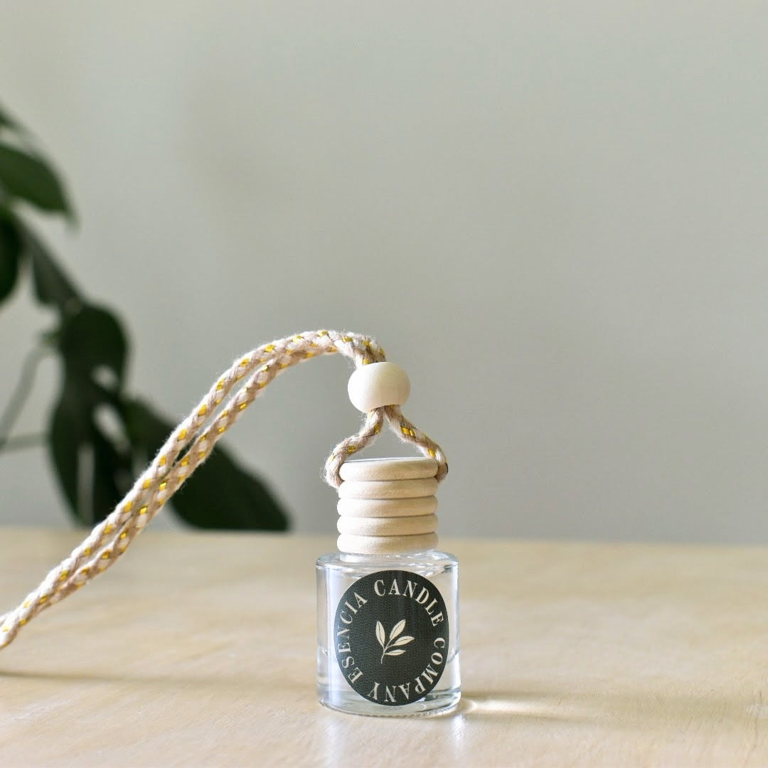 Travel Car diffuser