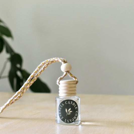 Travel Car diffuser