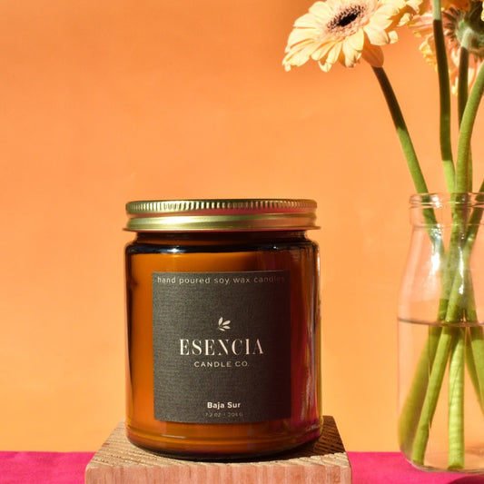 Baja Sur Soy Candle-Cactus & Sea Salt | Mexican -Inspired